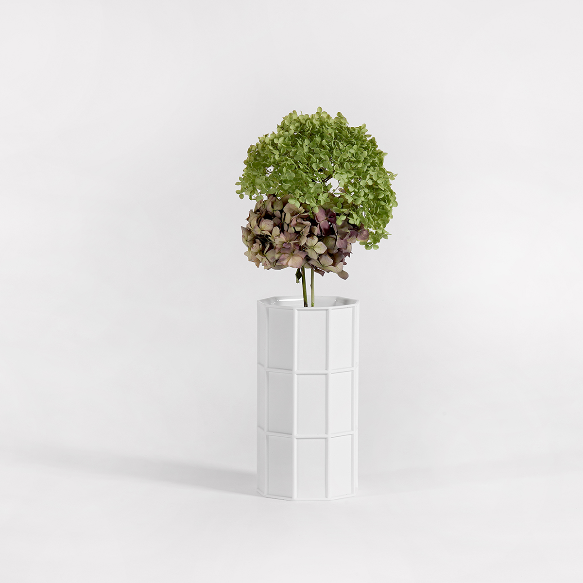 How To See Plants